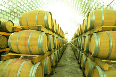 Wine Cellar with Wooden Barrels