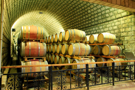 Wine Cellar with Wooden Barrelsのeditorial素材