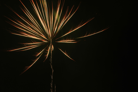 Fireworksの写真素材