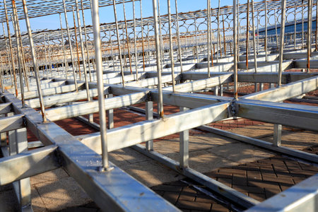 the steel structure