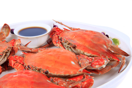 Crabの写真素材