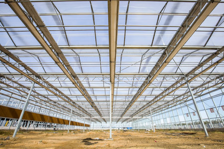 The steel structureのeditorial素材