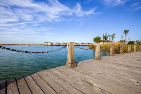 The wood bridge in wetland parkのeditorial素材