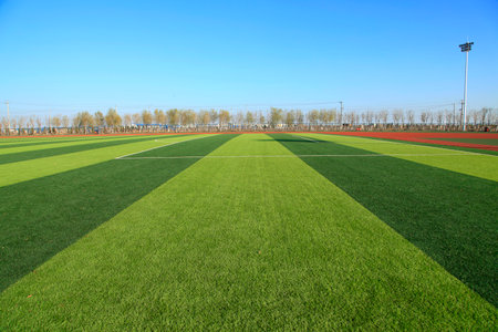Football fieldのeditorial素材