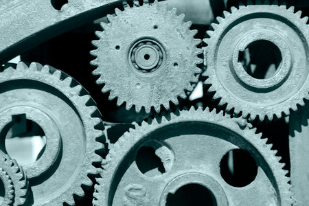 Gear