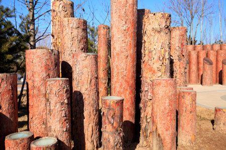 Wooden stakeの写真素材