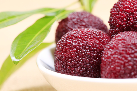 waxberry close up viewの写真素材