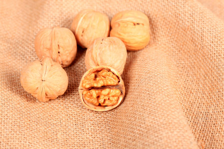 walnut close up viewの写真素材