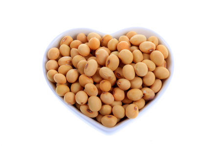 soybean close up viewの写真素材