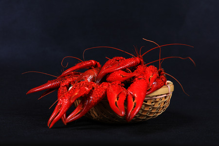 Crawfish on dark background close-up viewの写真素材