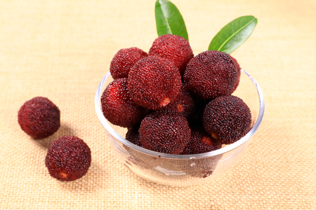 waxberry close up viewの写真素材