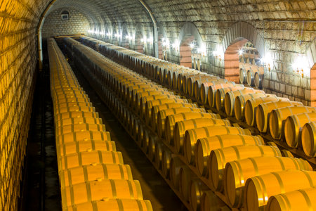 Wine barrels stacked in the cellar of the wineryのeditorial素材