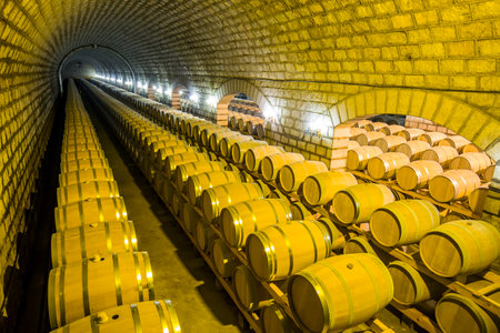 Wine barrels stacked in the cellar of the wineryのeditorial素材