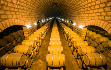  Wine Cellar with Wooden Barrelsのeditorial素材