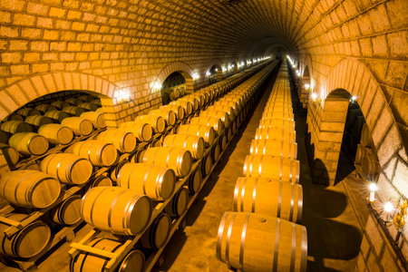  Wine Cellar with Wooden Barrelsのeditorial素材
