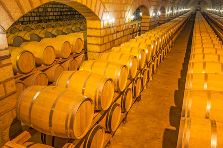 Wine barrels stacked in the cellar of the winery