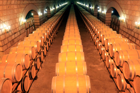  Wine Cellar with Wooden Barrelsのeditorial素材