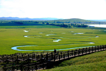 The river on the grassland