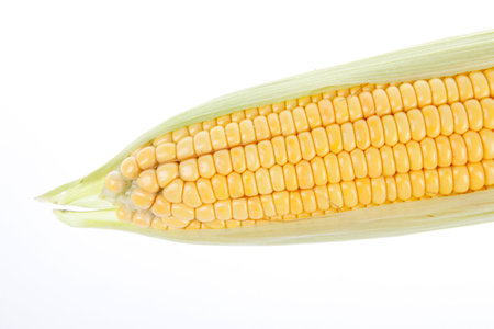 The close-up of corn, white background