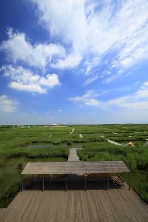 Wetland landscapeの写真素材