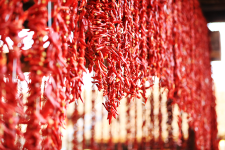 Red chilies hang on the wallの写真素材