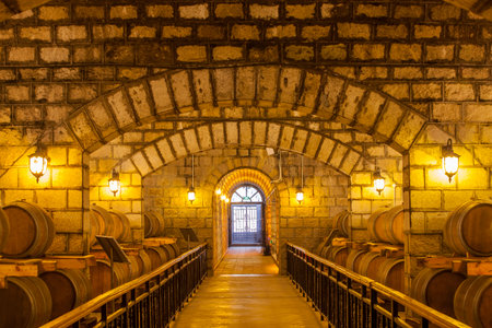  Wine Cellar with Wooden Barrelsのeditorial素材