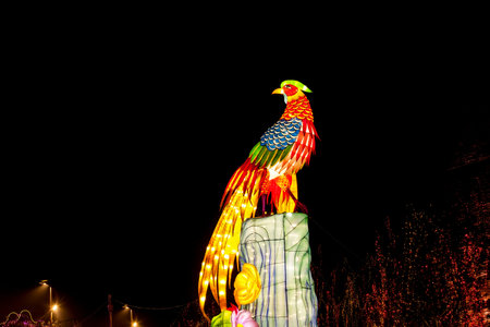 Chinese festive lantern at night