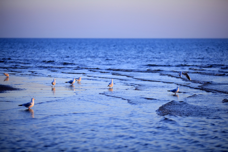 The seaside scenery in winterの写真素材