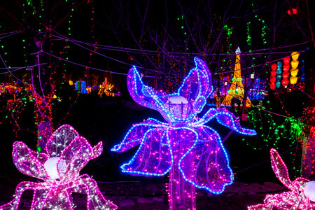 Chinese lanterns in the evening, the shape of flowers.のeditorial素材