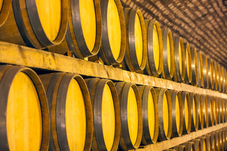 Wine barrels stacked in the cellar of the winery