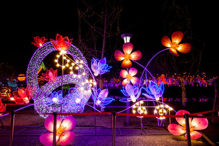 The shape of flowers chinese lanterns in the evening.のeditorial素材