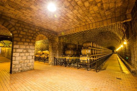 Wine barrels stacked in the cellar of the winery