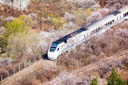 The train passing through the forestのeditorial素材