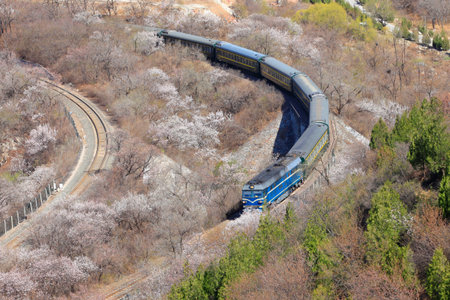 The train passing through the forestのeditorial素材