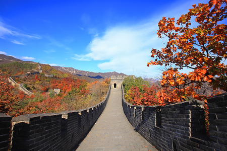 The Great Wall of China is in autumnの写真素材
