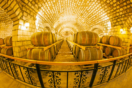 Wine barrels stacked in the cellar of the wineryのeditorial素材