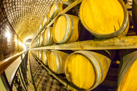 Wine barrels stacked in the cellar of the wineryのeditorial素材