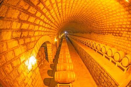 Wine barrels stacked in the cellar of the wineryのeditorial素材