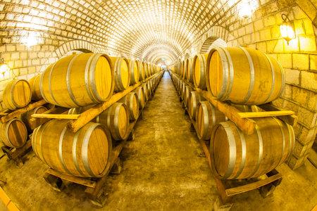 Wine barrels stacked in the cellar of the winery