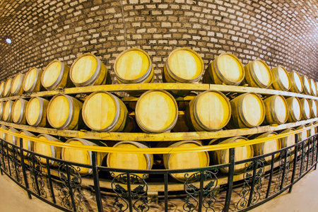 Wine barrels stacked in the cellar of the winery