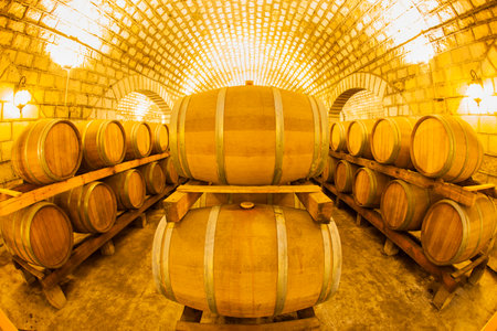 Wine barrels stacked in the cellar of the wineryのeditorial素材