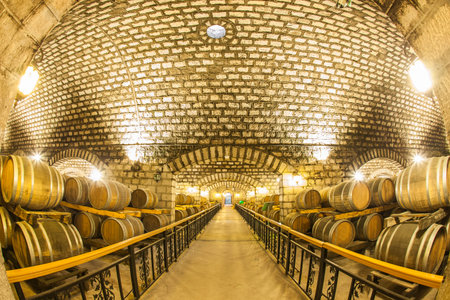 Wine barrels stacked in the cellar of the winery