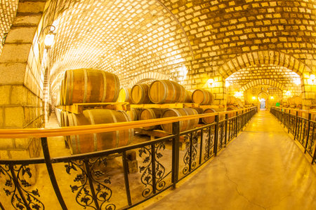 Wine barrels stacked in the cellar of the wineryのeditorial素材
