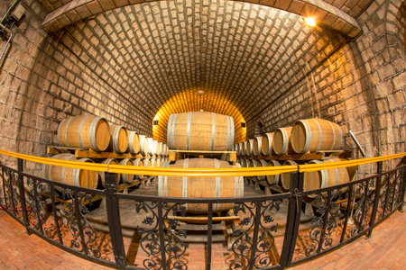 Wine barrels stacked in the cellar of the winery