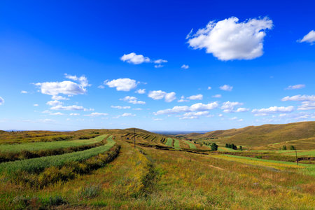 The scenery of the grassland