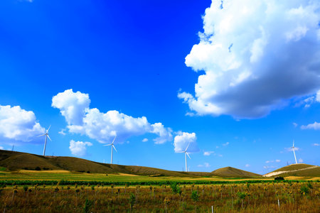 Wind turbines are on the grassland