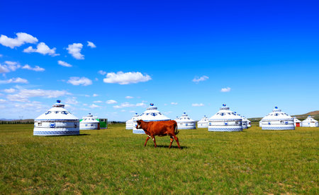 Mongolian yurt on the grassland