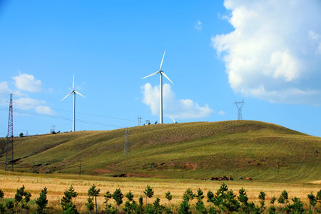 Wind turbines are on the grassland