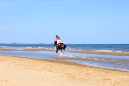 Race horse and jockey galloping on the beach, Race horses and jockeys competing on the beachの写真素材