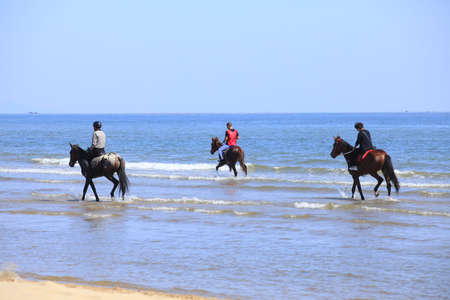 Race horse and jockey galloping on the beach, Race horses and jockeys competing on the beachの写真素材
